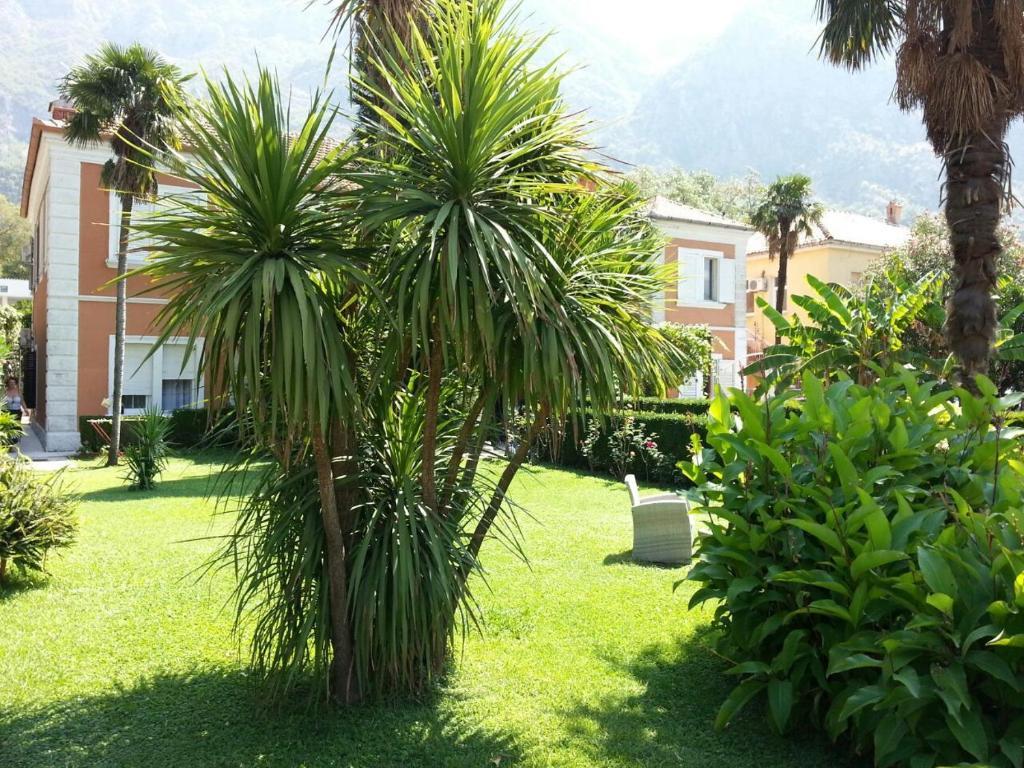 Apartments Vojin Risan Esterno foto